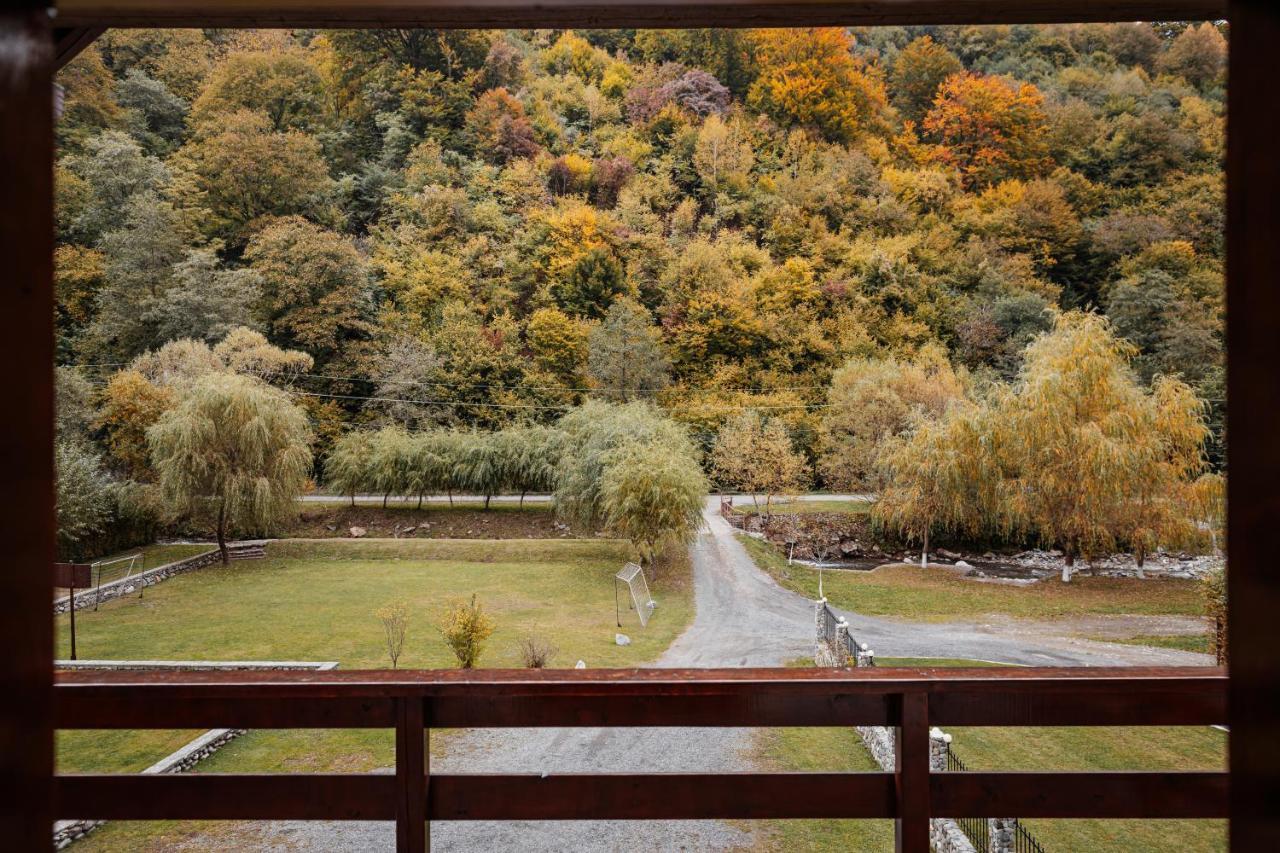Отель Casa Ardeleana Lotrioara Экстерьер фото