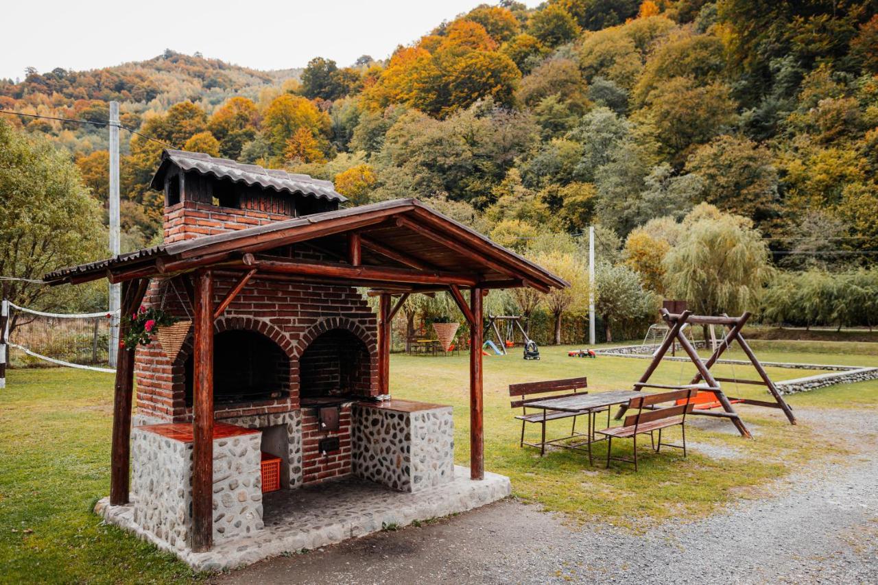 Отель Casa Ardeleana Lotrioara Экстерьер фото