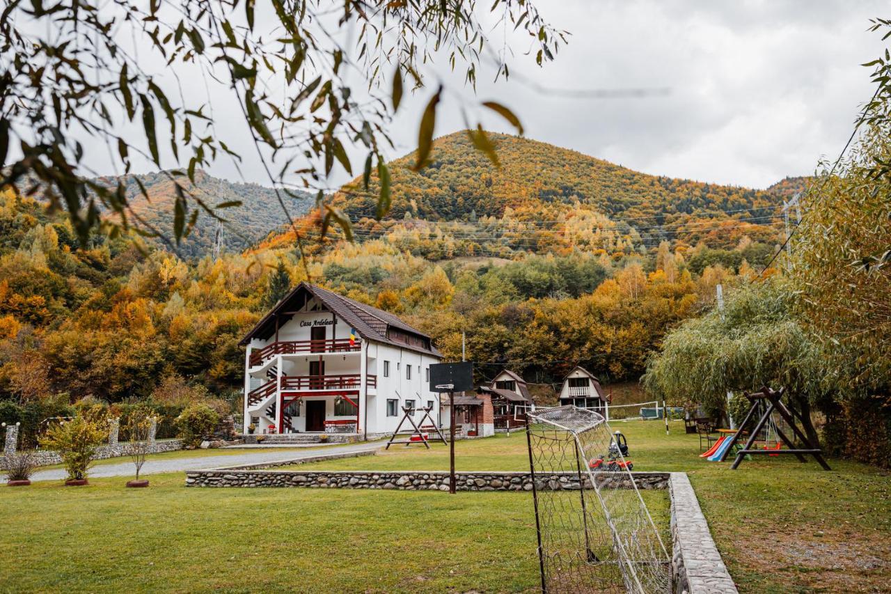Отель Casa Ardeleana Lotrioara Экстерьер фото